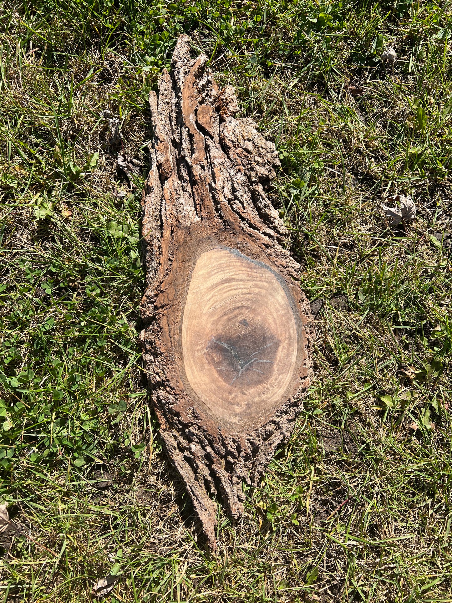 Live Edge Custom