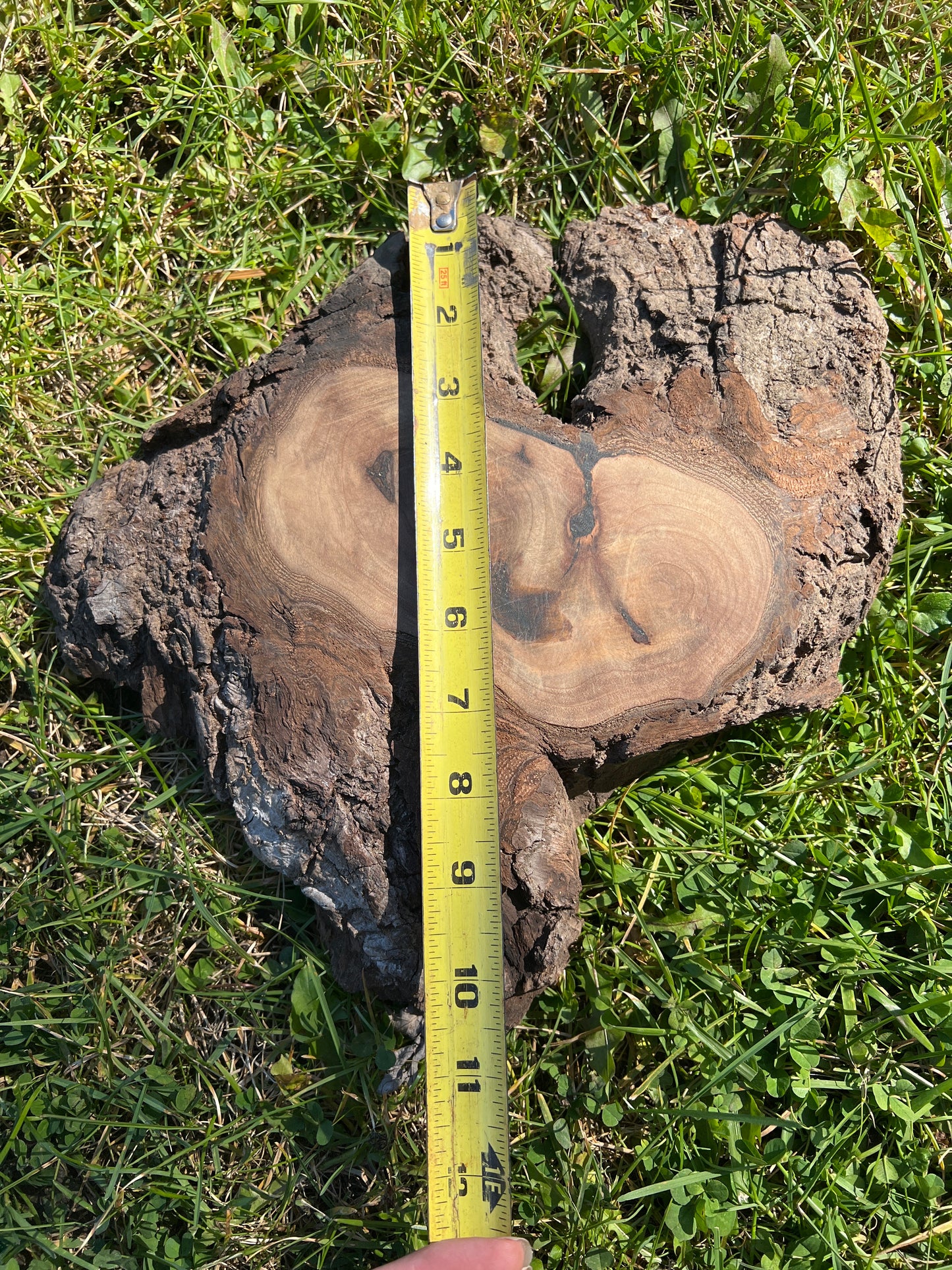 Live Edge Custom