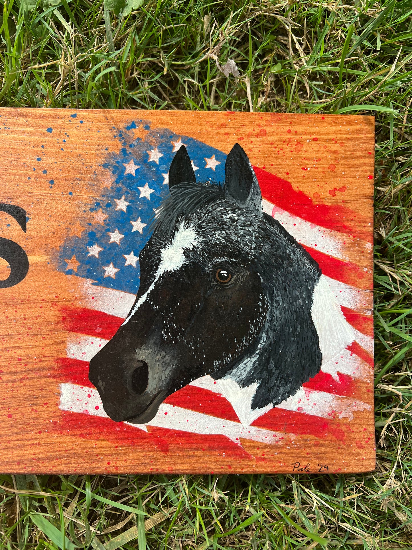 Hand Painted Custom Wooden Stall Sign - Gunstock Stain