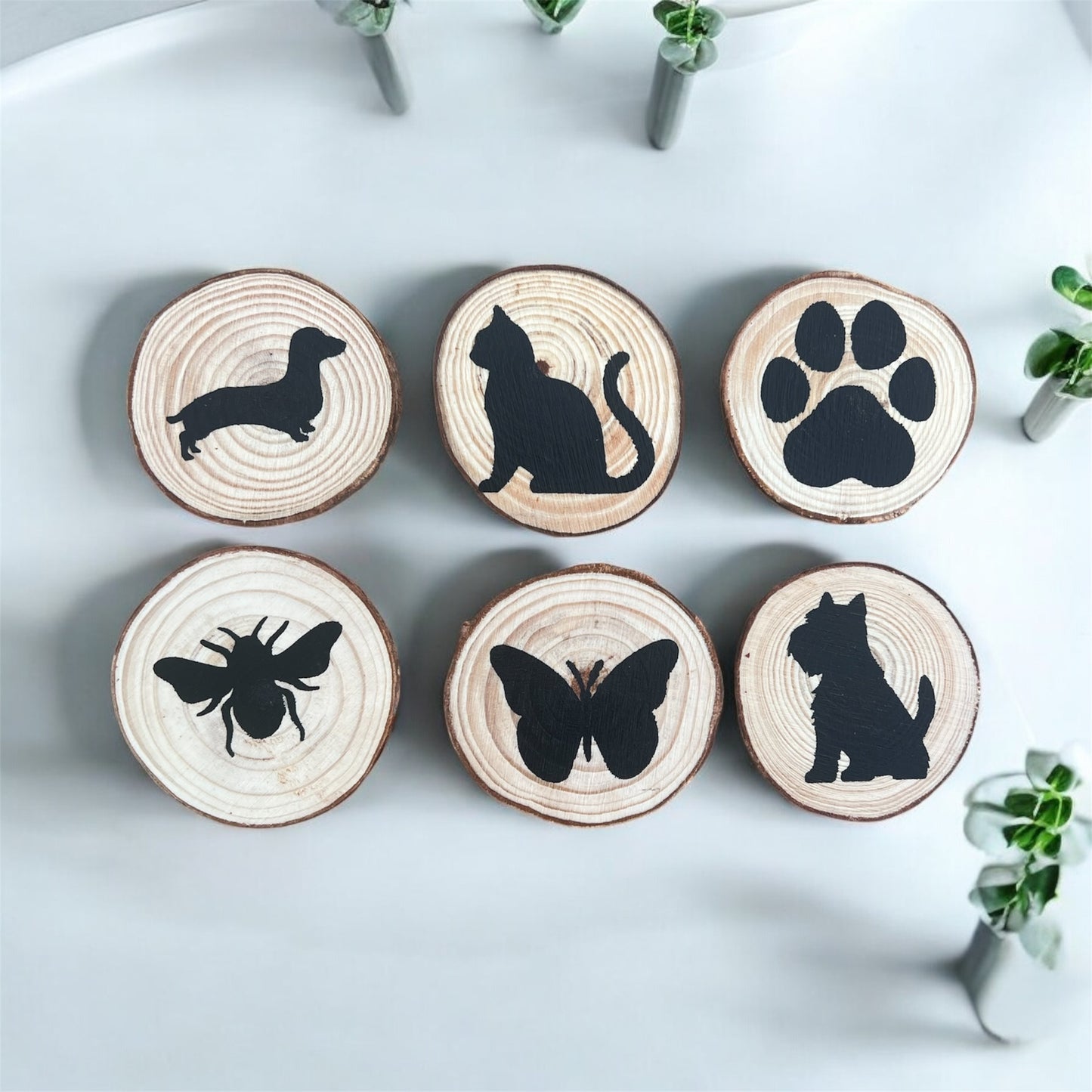 Mini Wood Slice Magnets