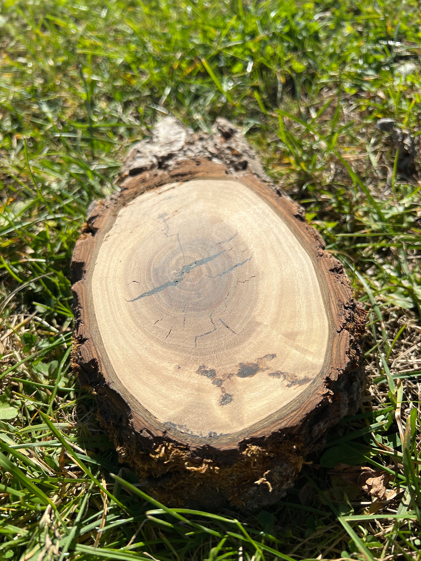 Live Edge Custom