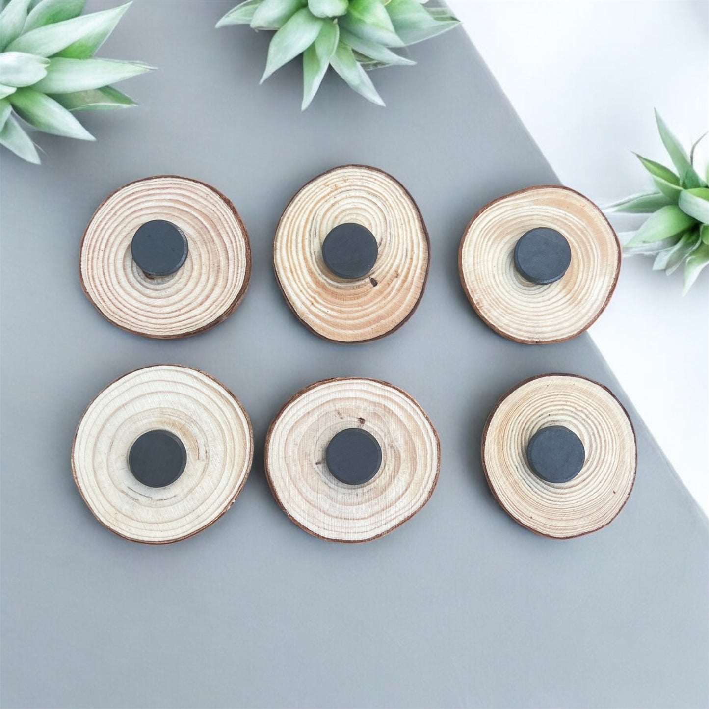 Mini Wood Slice Magnets