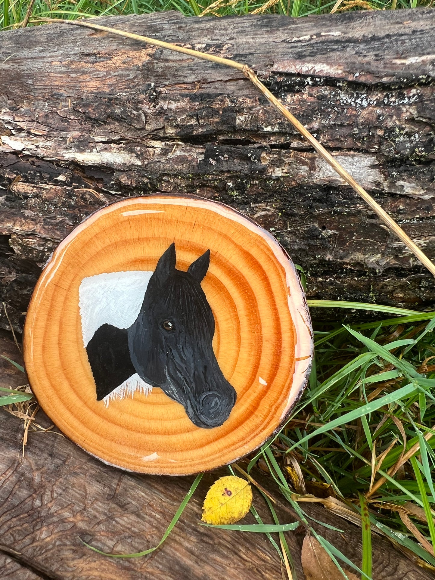 Hand Painted Custom Wood Slice Epoxy Sealed