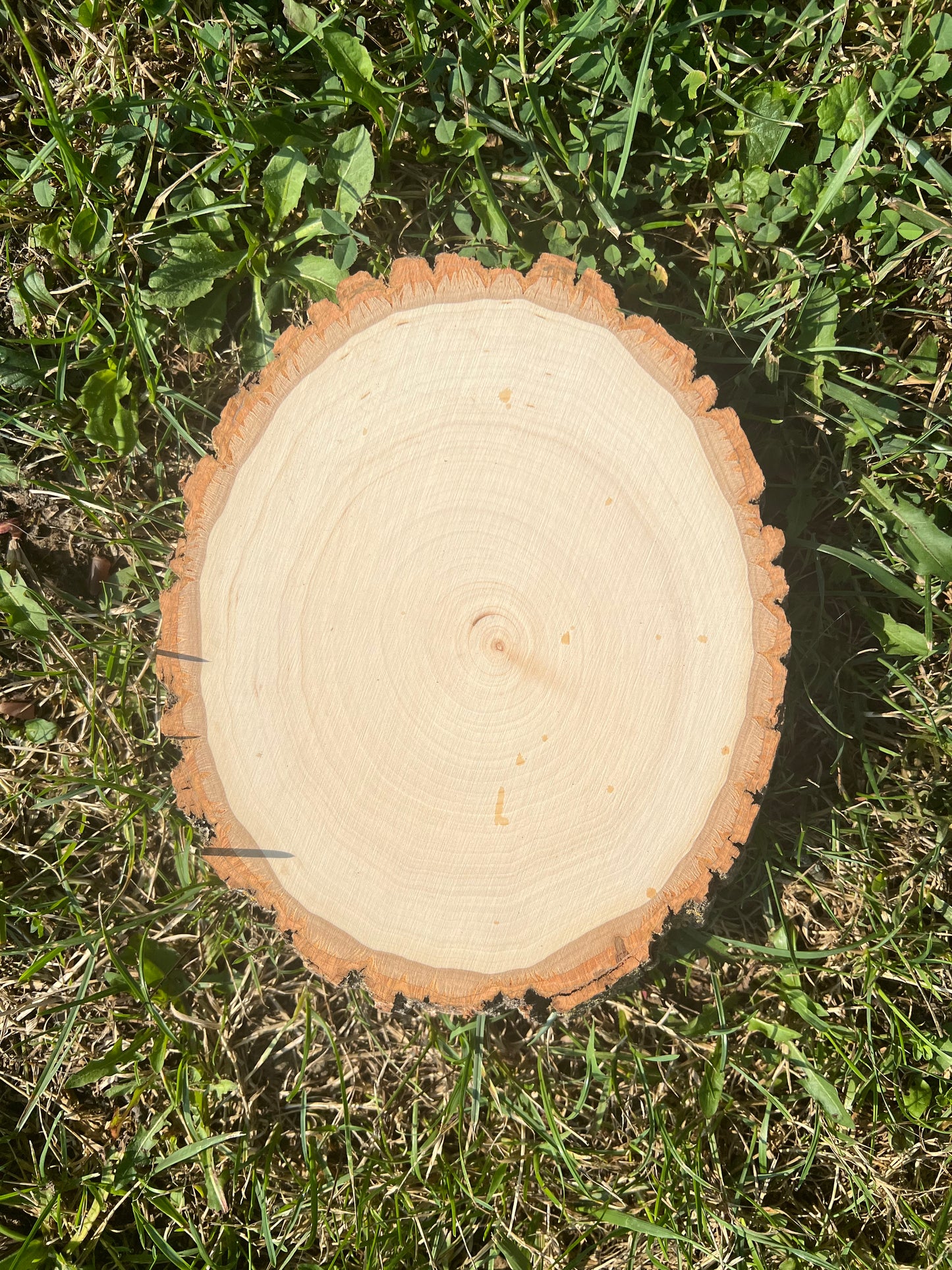 Live Edge Custom