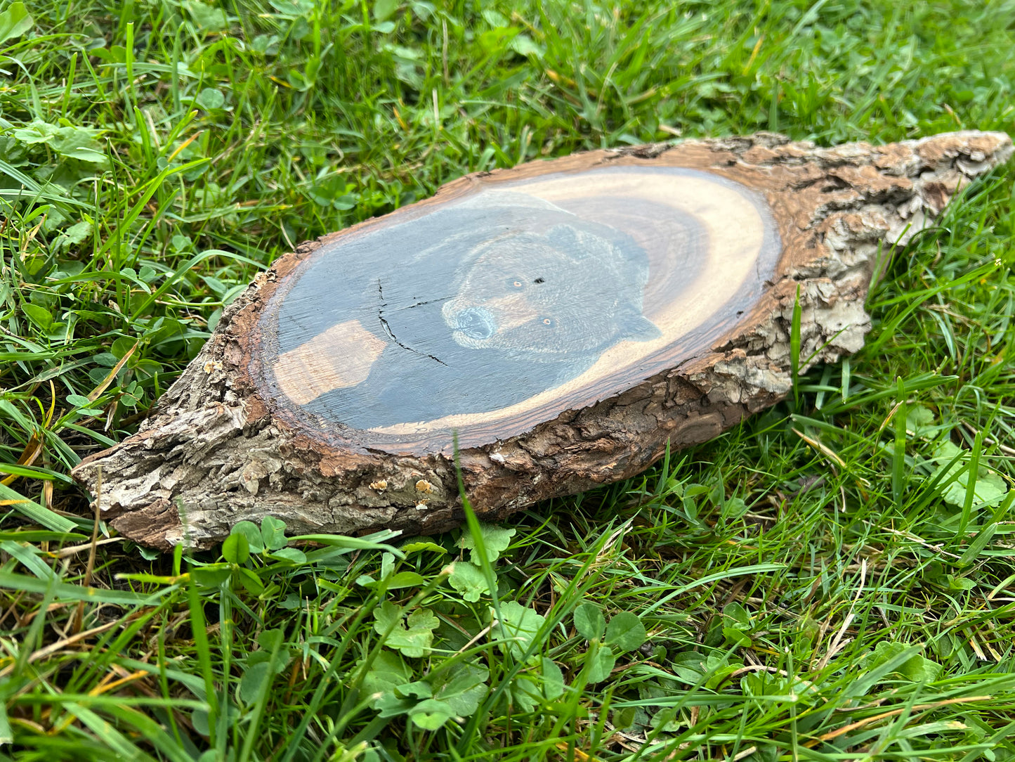 Hand Painted Grizzly Bear Live Edge