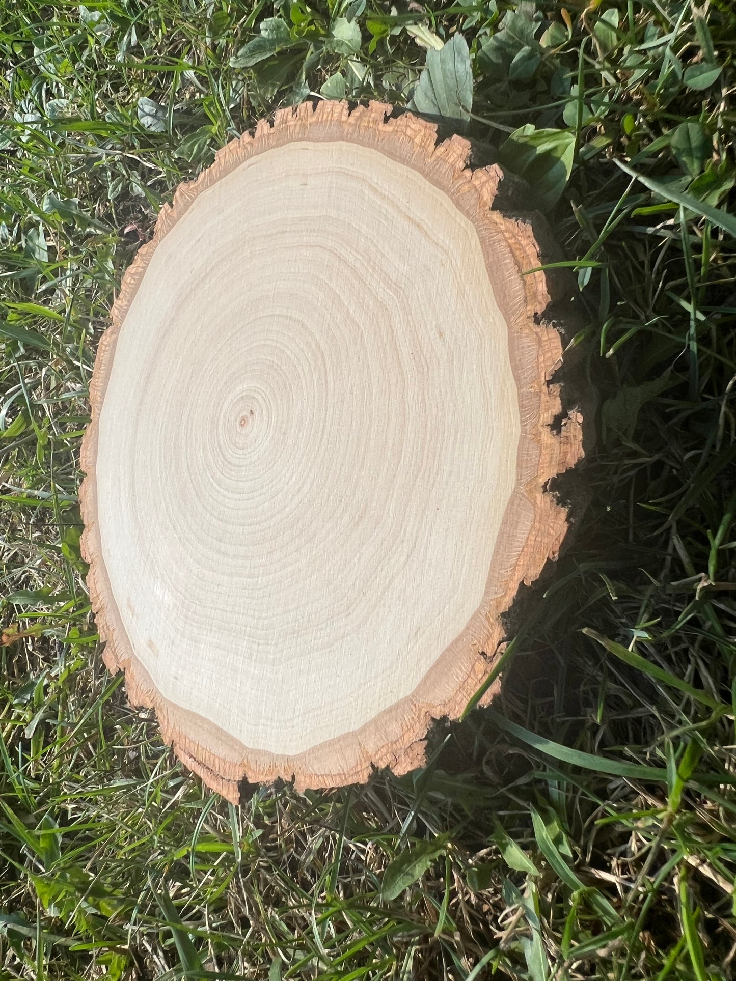 Live Edge Custom