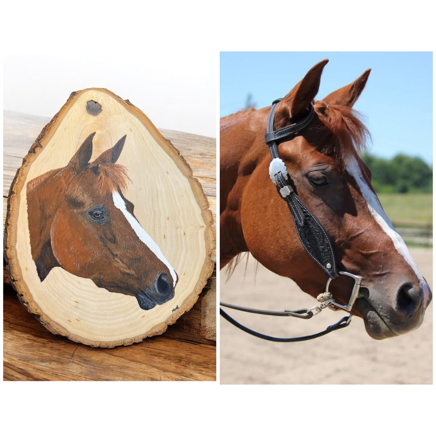 Live Edge Custom