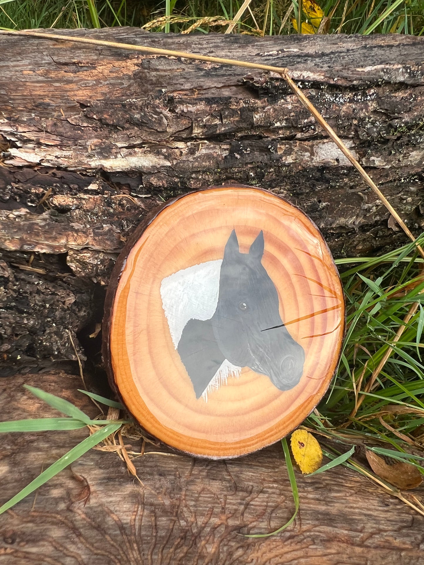 Hand Painted Custom Wood Slice Epoxy Sealed