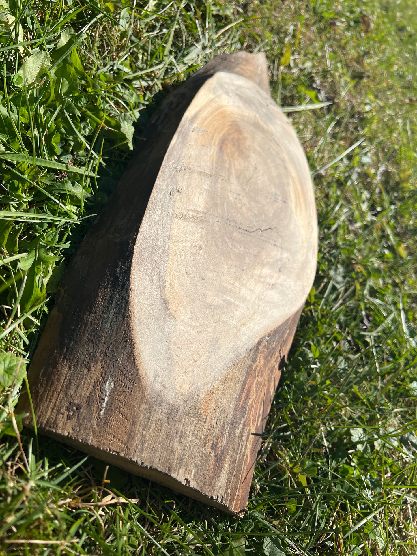 Live Edge Custom