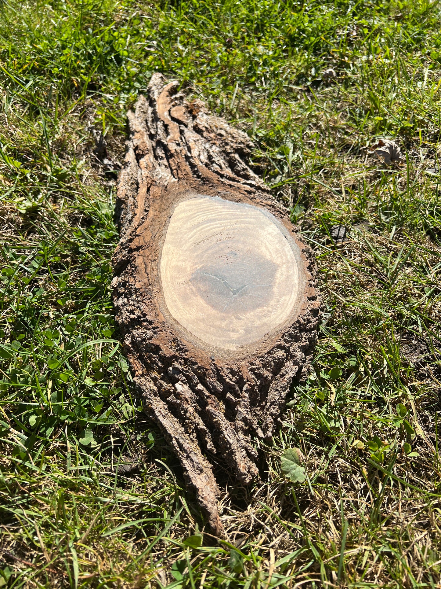 Live Edge Custom