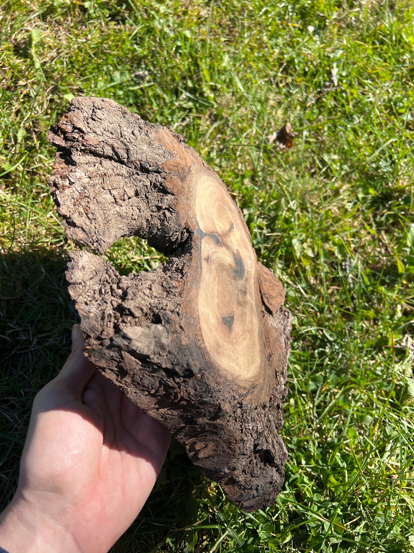 Live Edge Custom