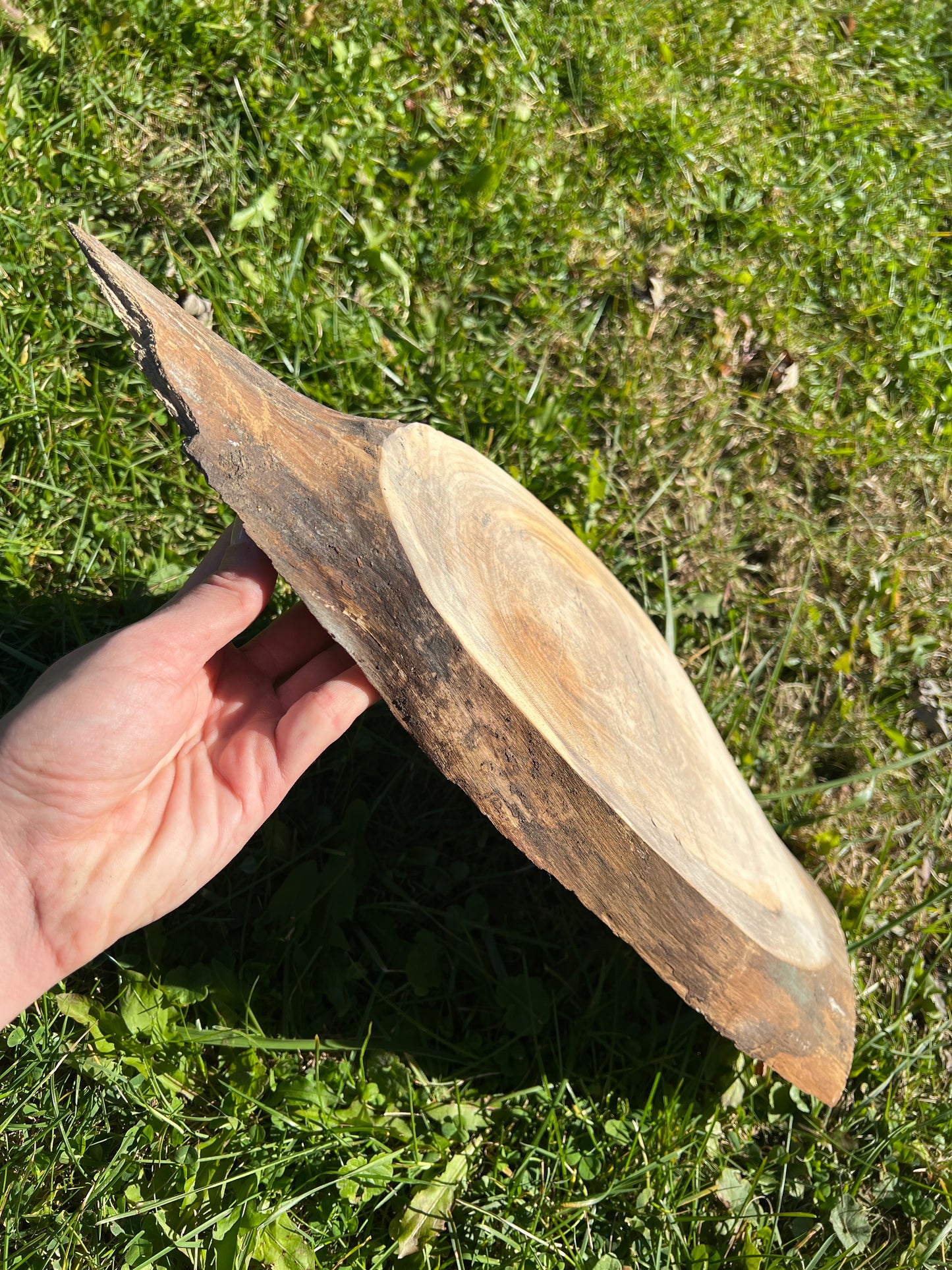 Live Edge Custom
