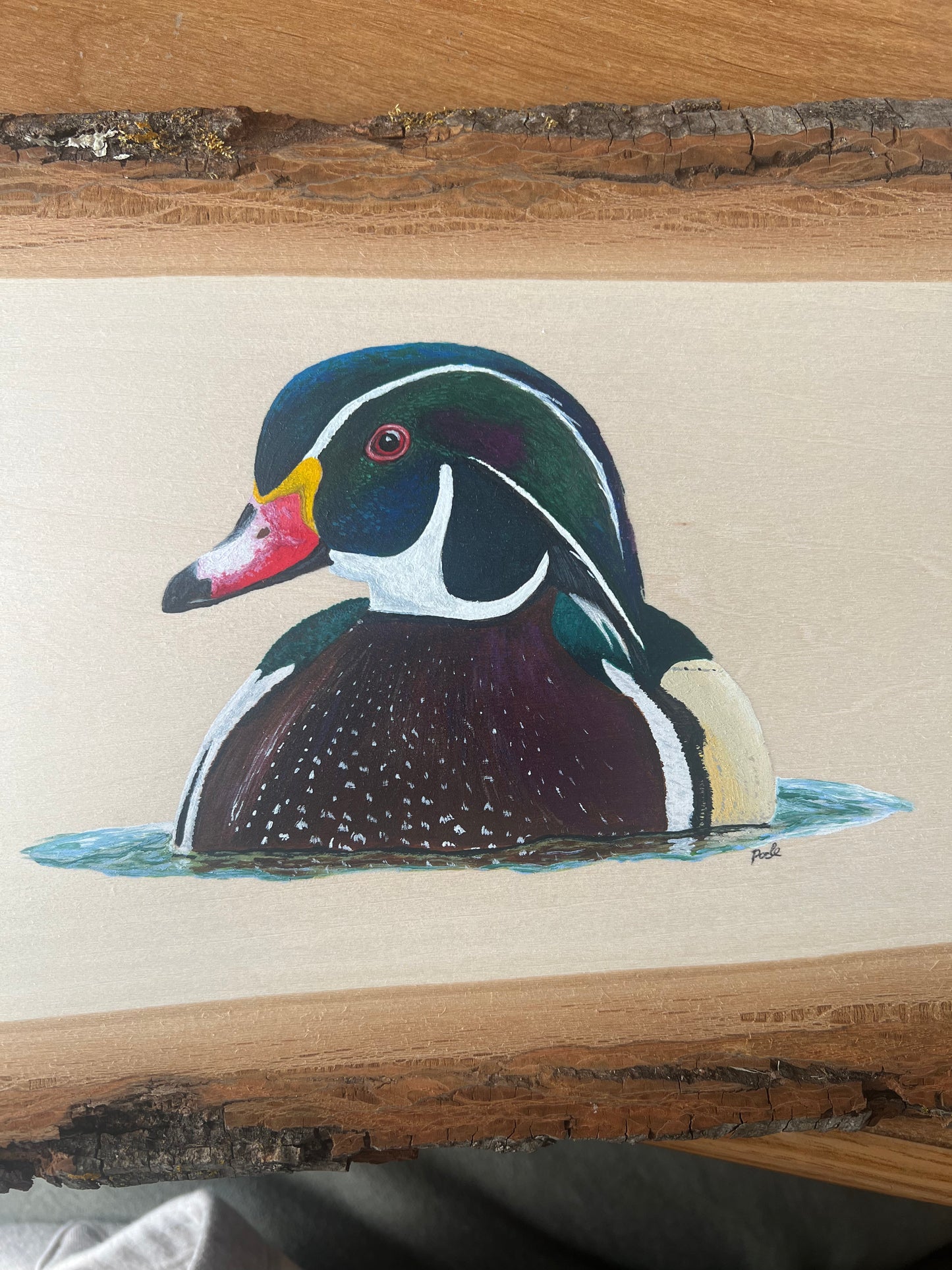 Live Edge Basswood Wood Duck
