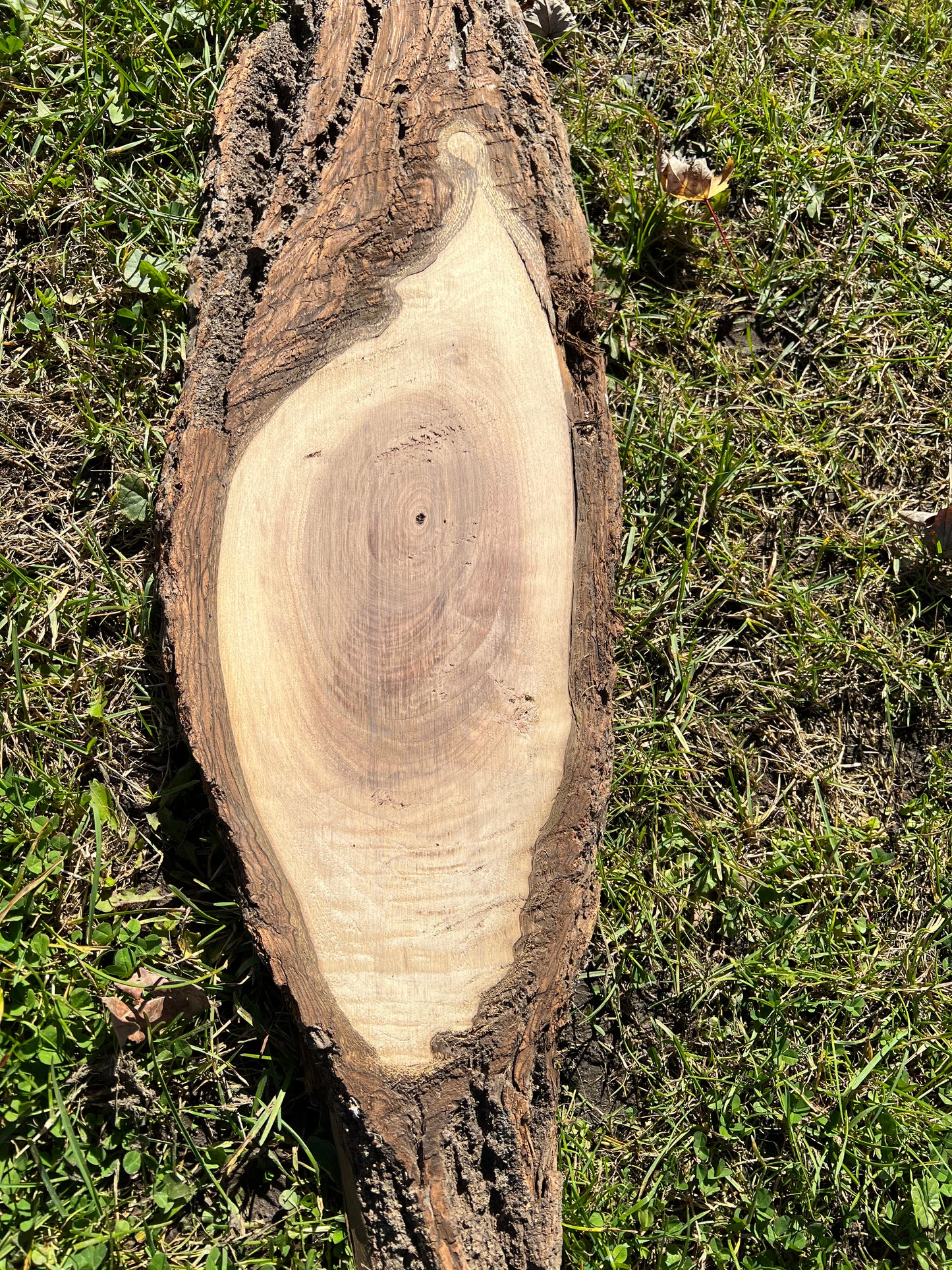 Live Edge Custom