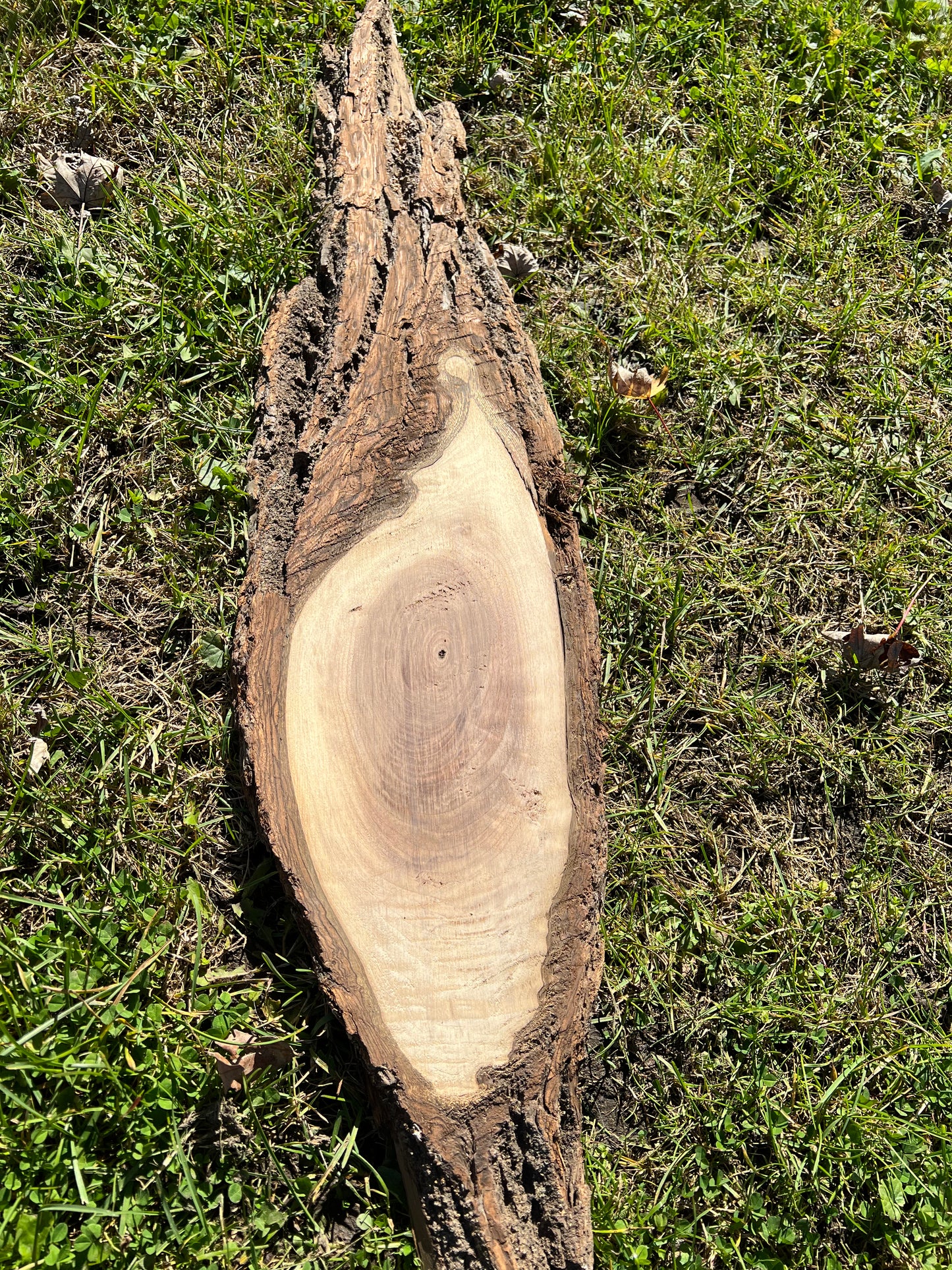 Live Edge Custom