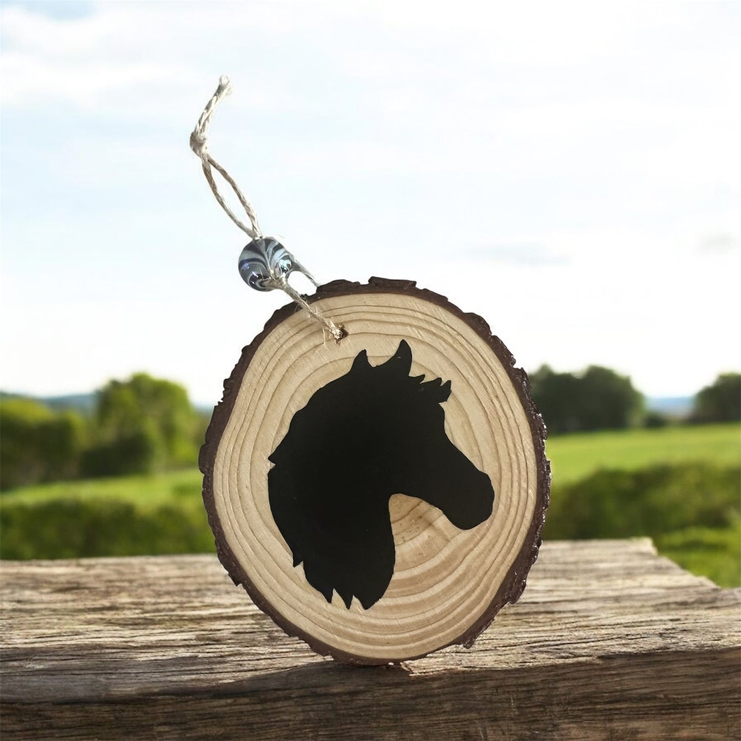 Hand Painted Horse Head Wood Slice Ornament Painted