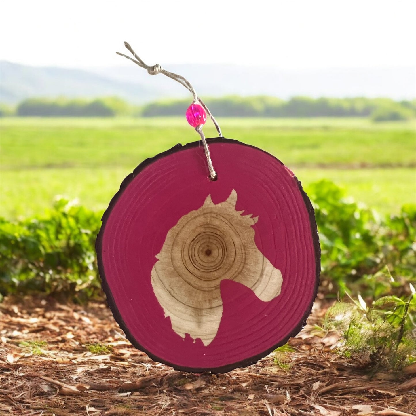 Hand Painted Horse Head Wood Slice Ornament Painted