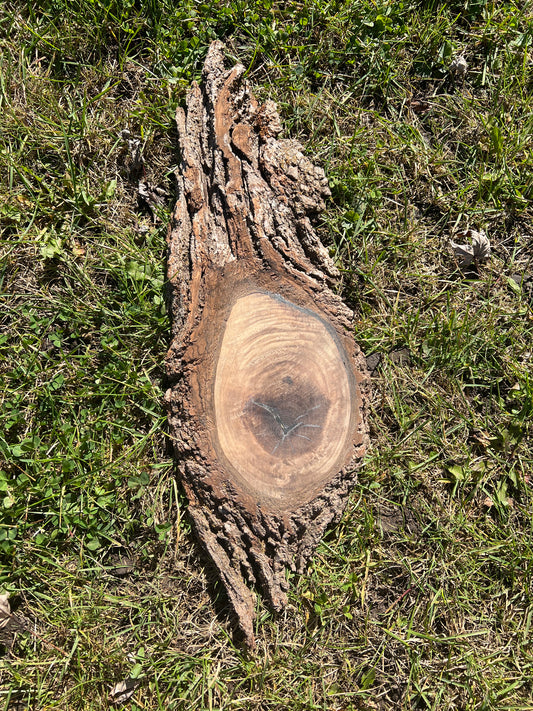 Live Edge Custom