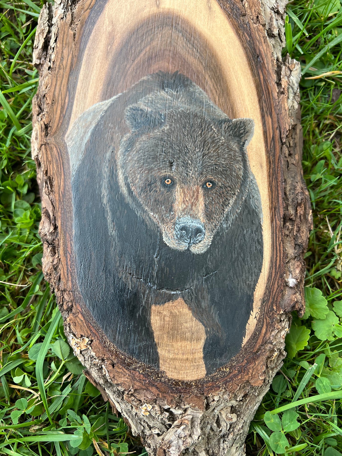 Hand Painted Grizzly Bear Live Edge