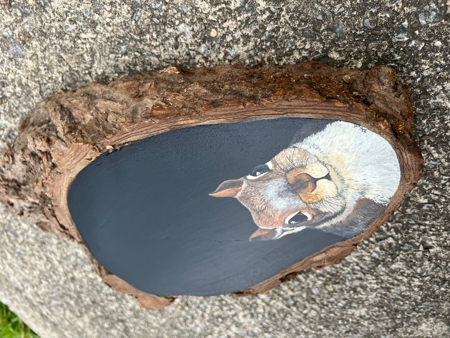 Hand Painted Squirrel Live Edge