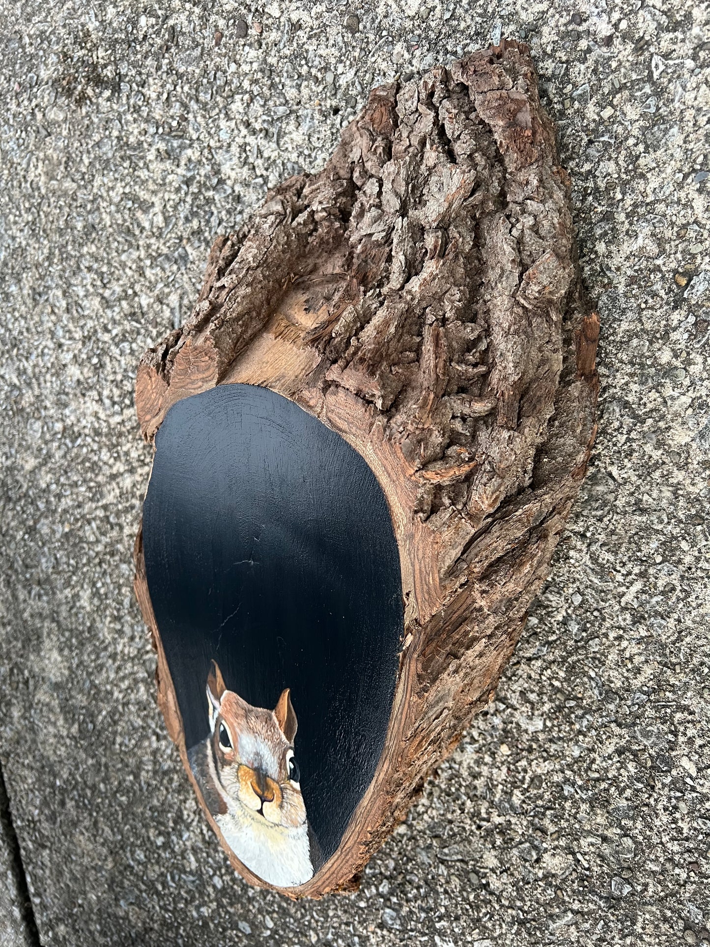 Hand Painted Squirrel Live Edge