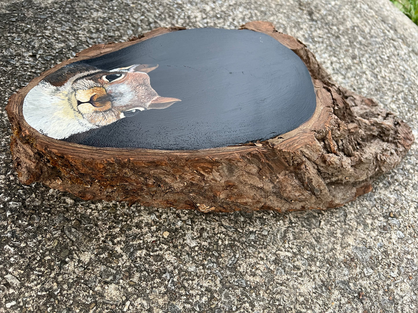 Hand Painted Squirrel Live Edge