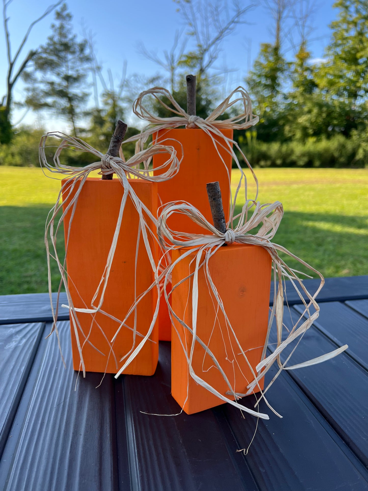 Hand Painted Pumpkin Decor Set