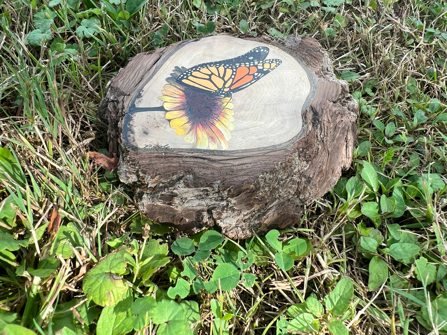 Hand Painted Monarch Live Edge