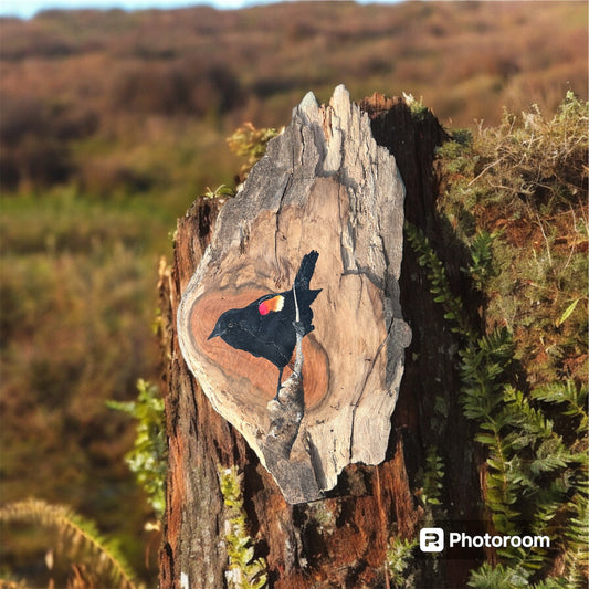 Hand Painted Red Winged Blackbird Live Edge