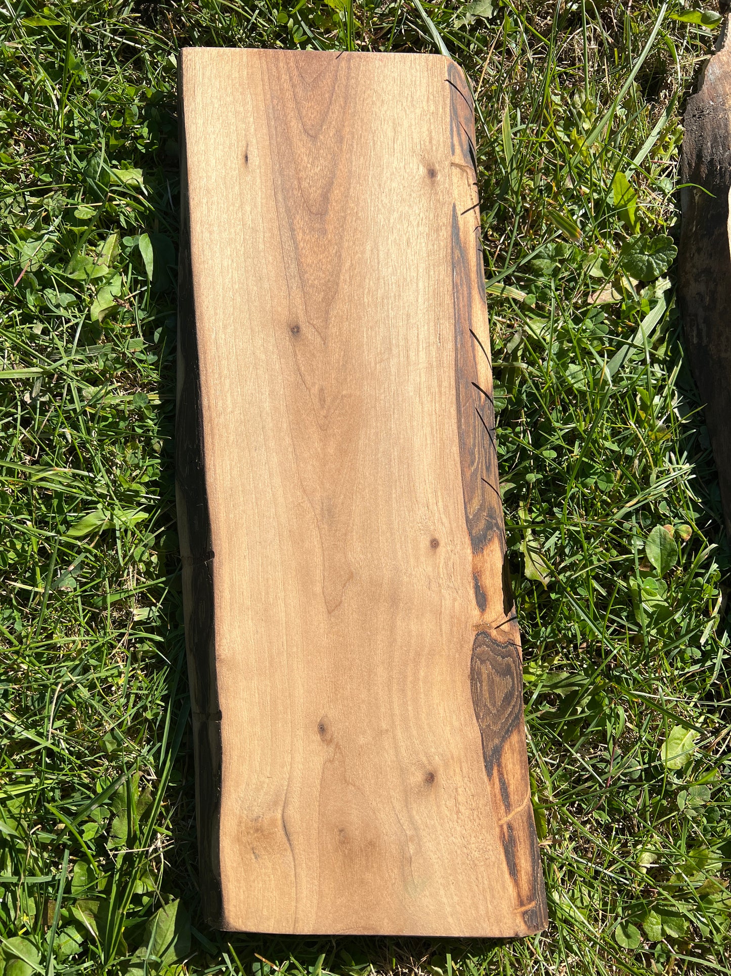 Live Edge Custom