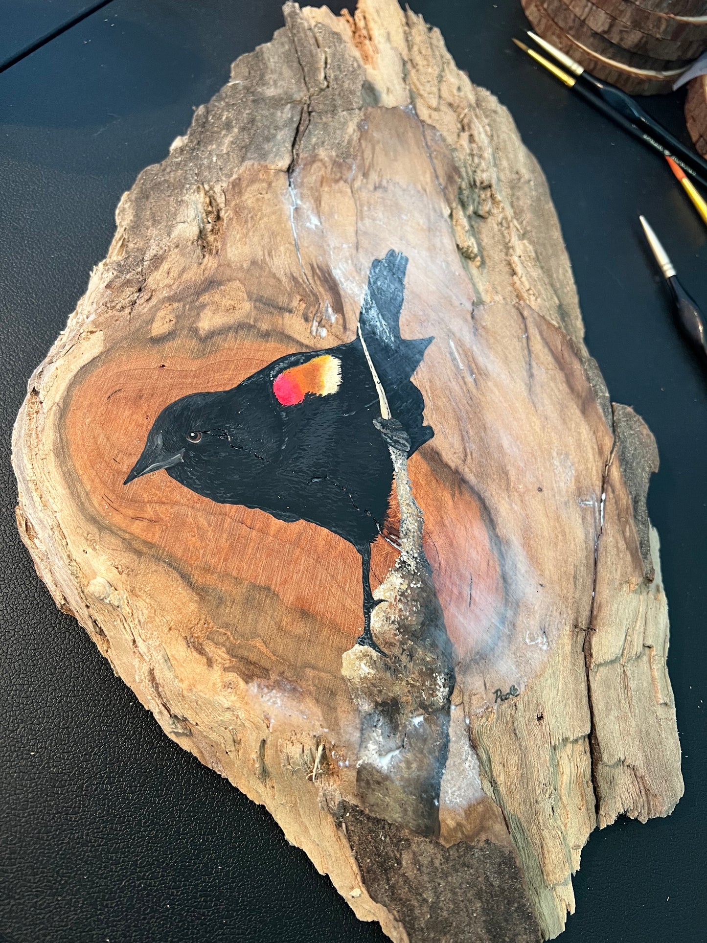 Hand Painted Red Winged Blackbird Live Edge