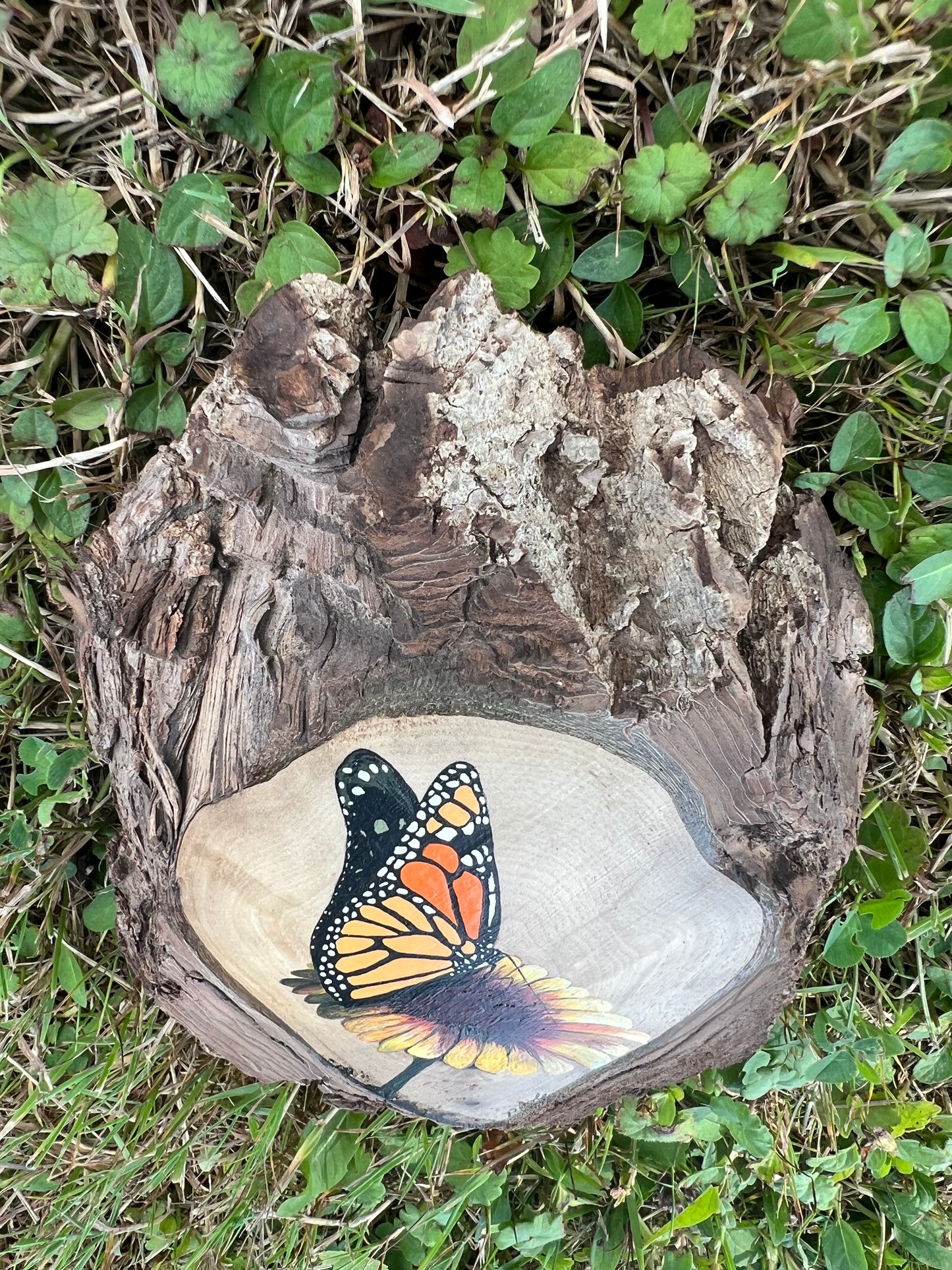 Hand Painted Monarch Live Edge