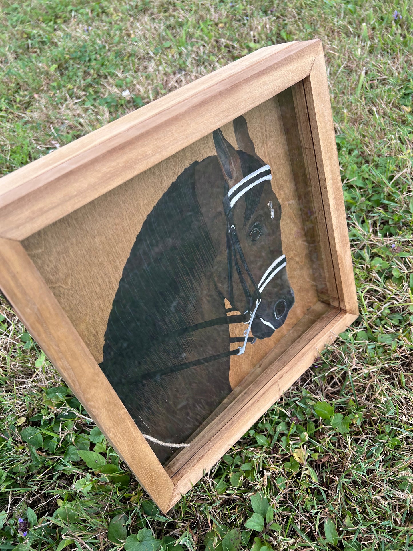 Hand Painted Custom Shadow Box