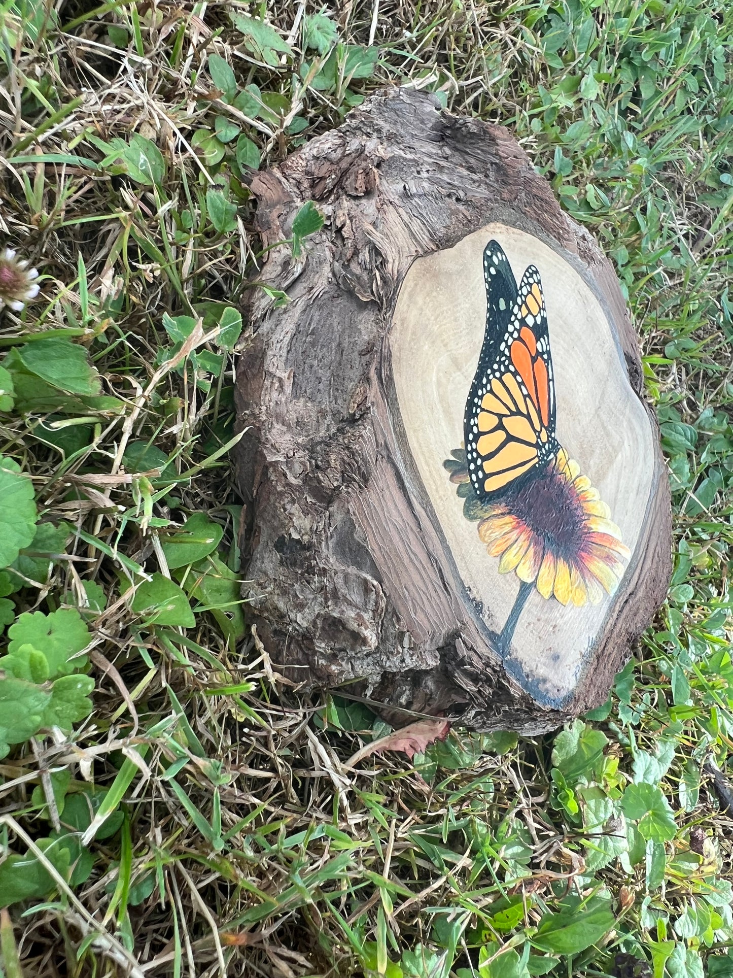 Hand Painted Monarch Live Edge