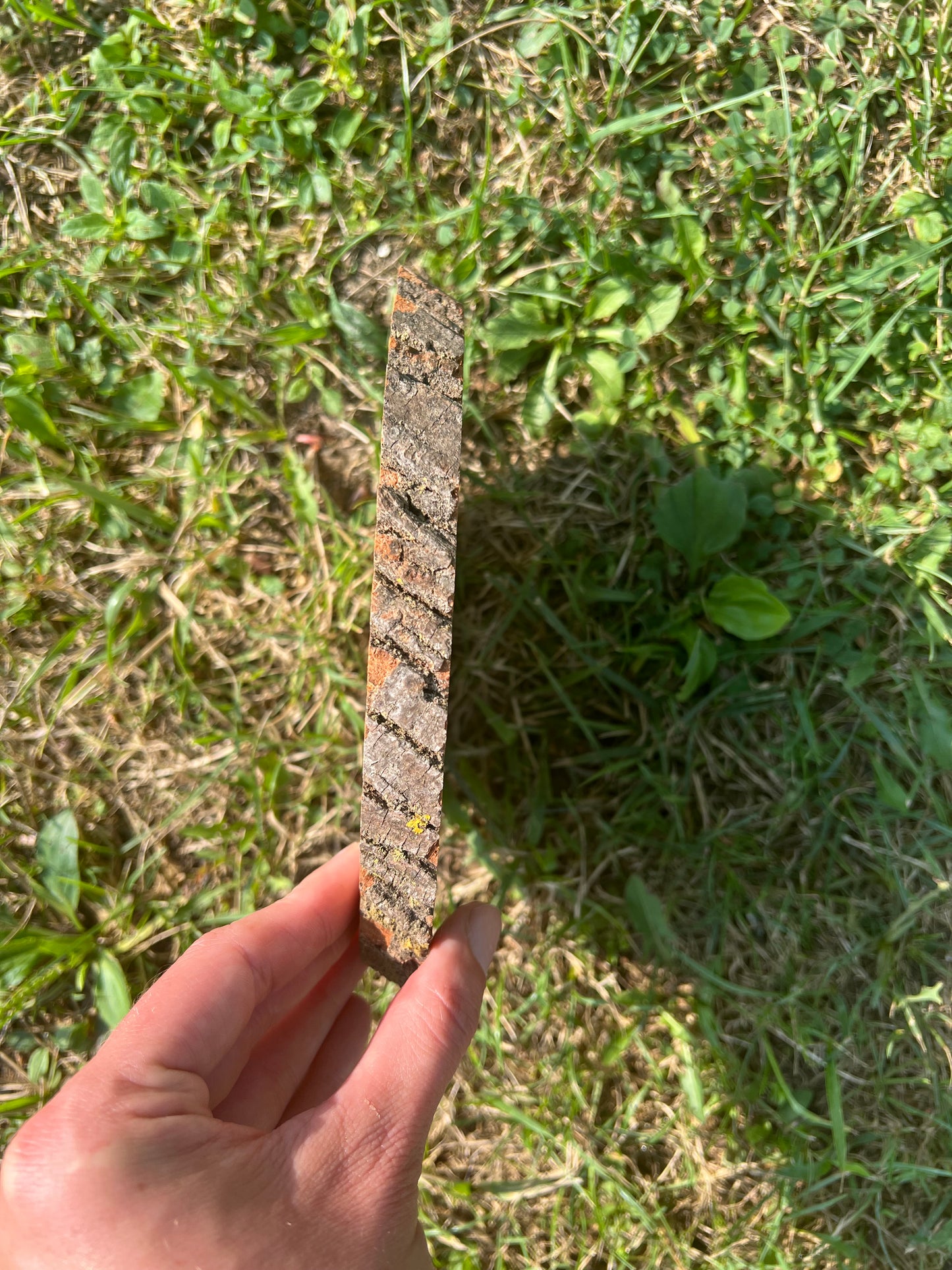 Live Edge Custom