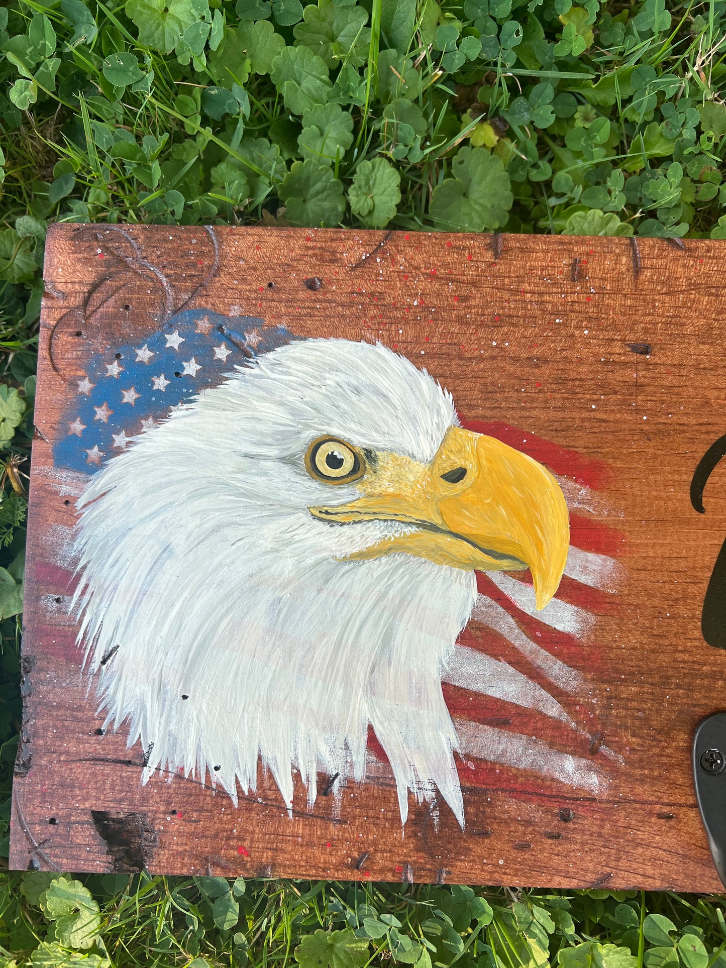 Hand Painted Eagle Welcome Wooden Sign - With Hooks