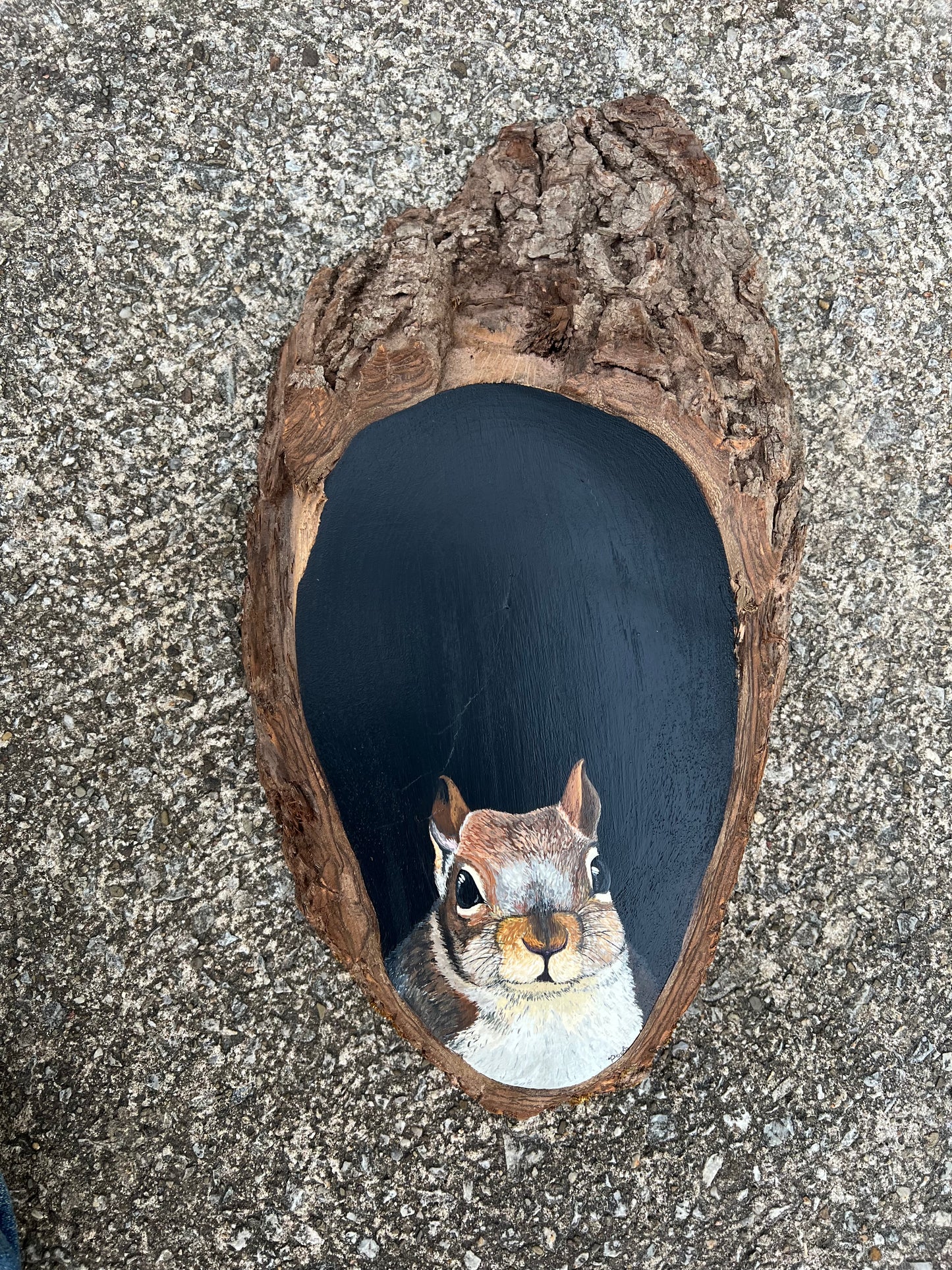 Hand Painted Squirrel Live Edge