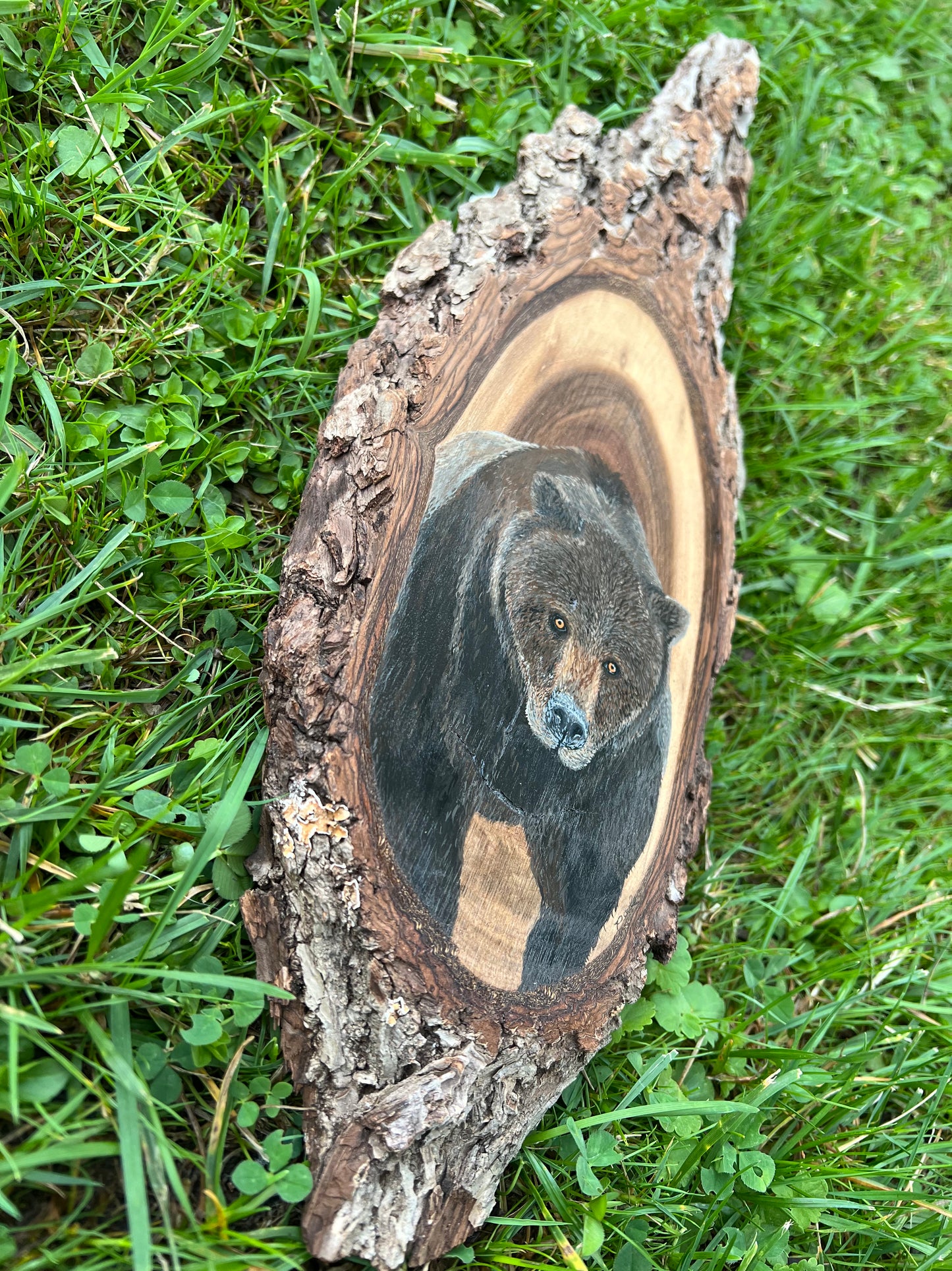 Hand Painted Grizzly Bear Live Edge