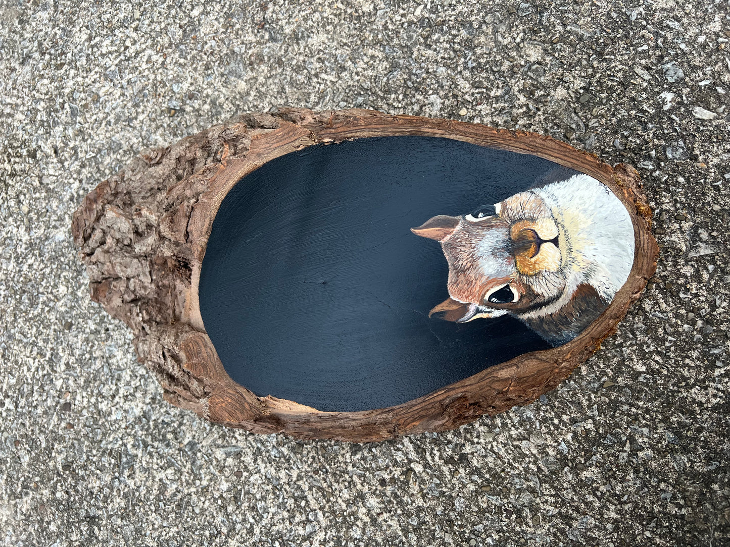 Hand Painted Squirrel Live Edge