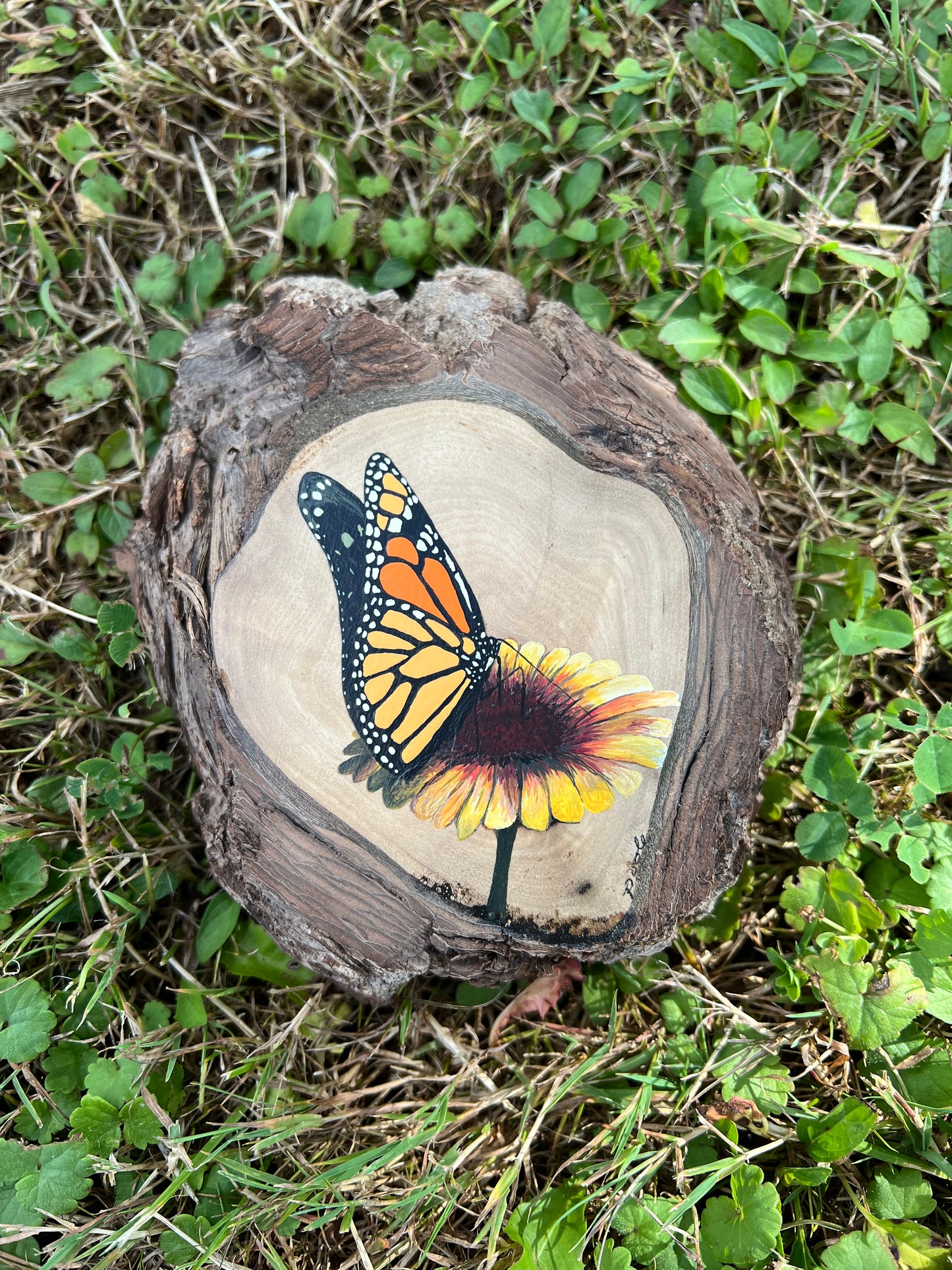 Hand Painted Monarch Live Edge