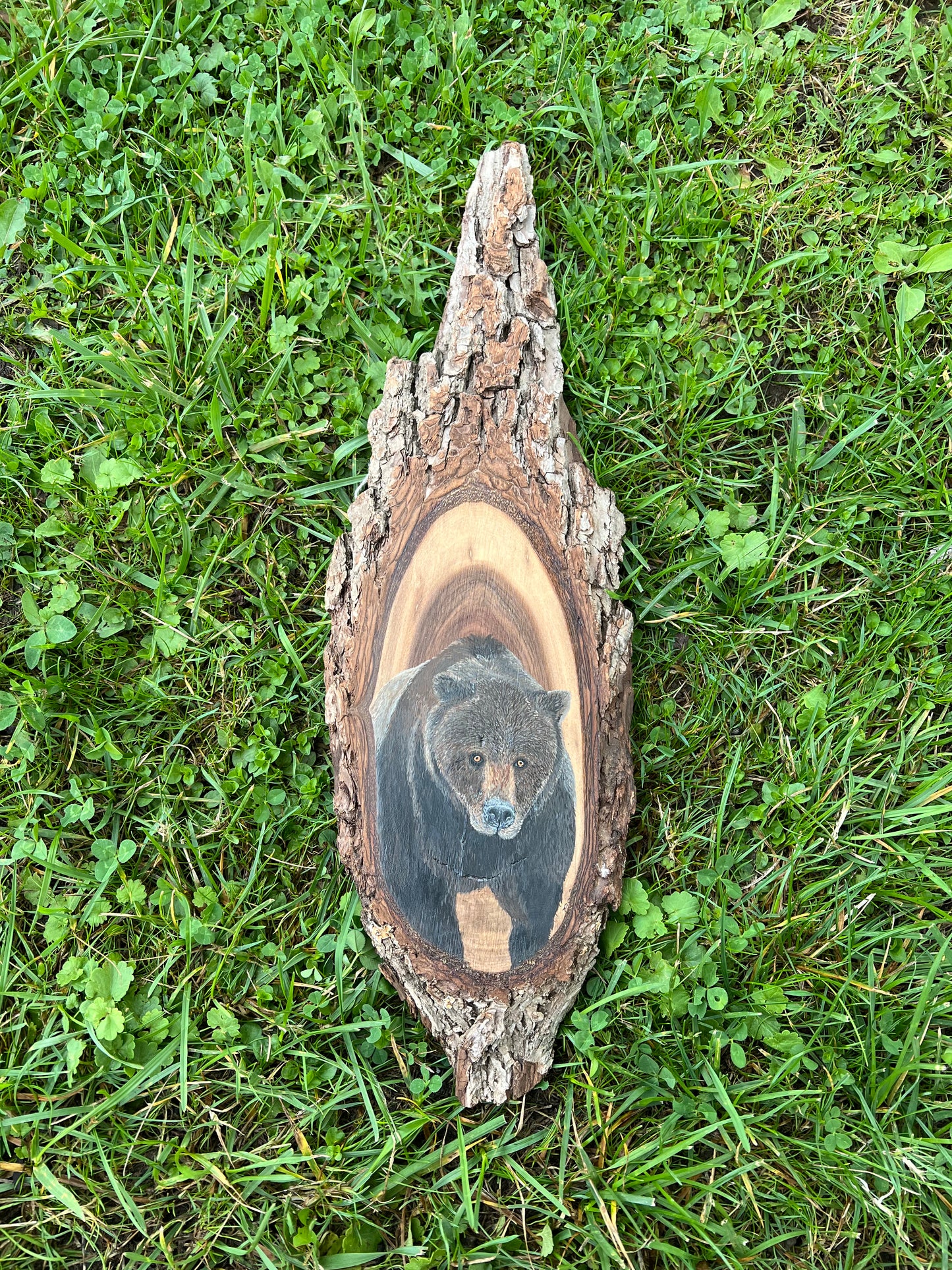 Hand Painted Grizzly Bear Live Edge