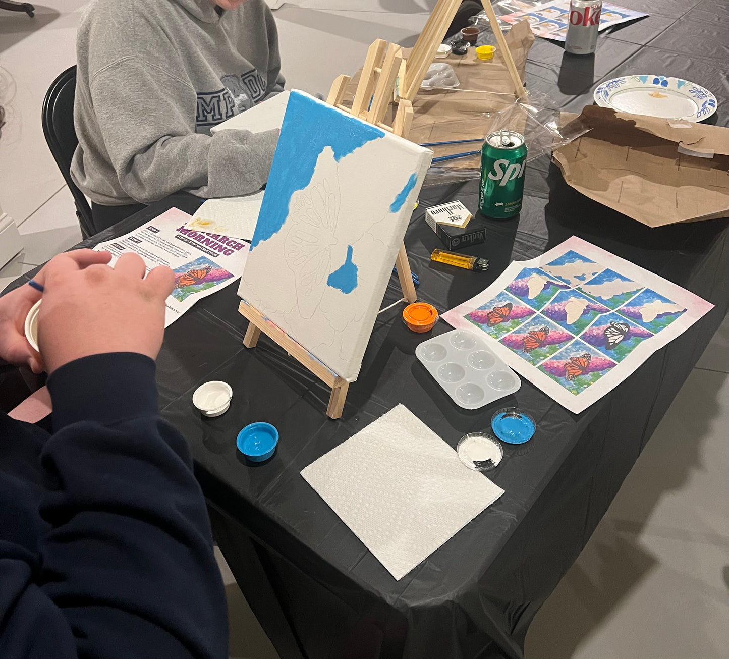 Blind Brush TM Canvas Kit