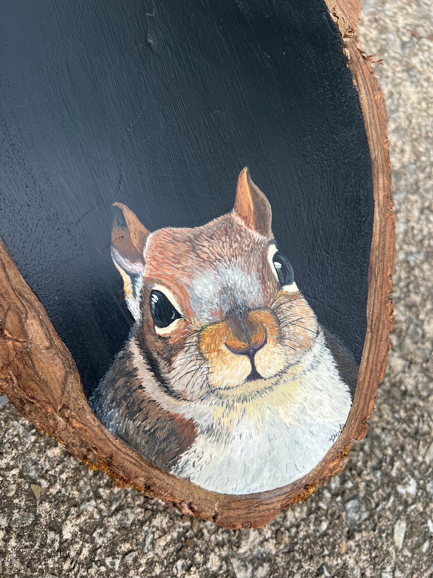 Hand Painted Squirrel Live Edge