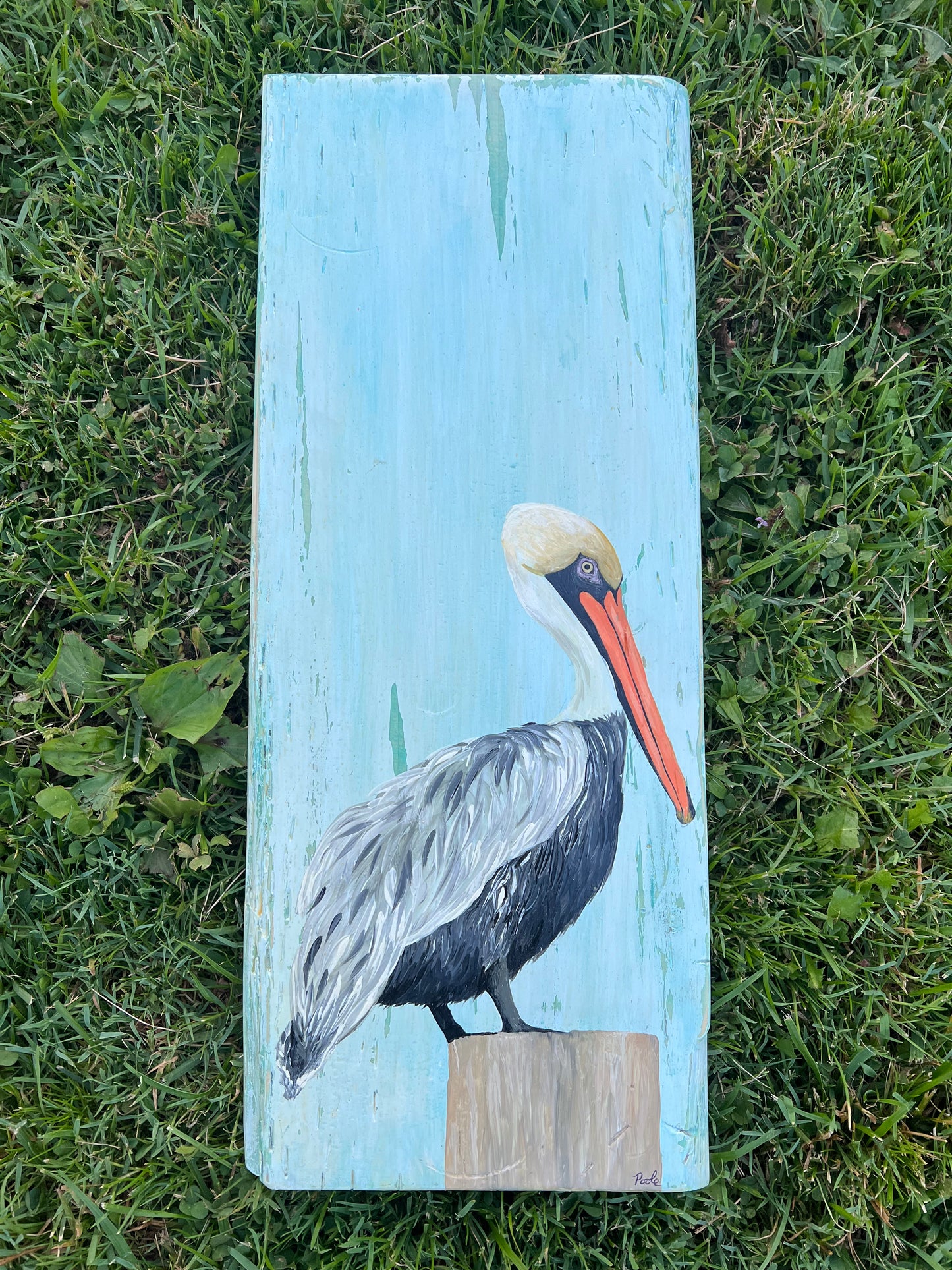 Hand Painted Pelican on Distressed Pine Plank