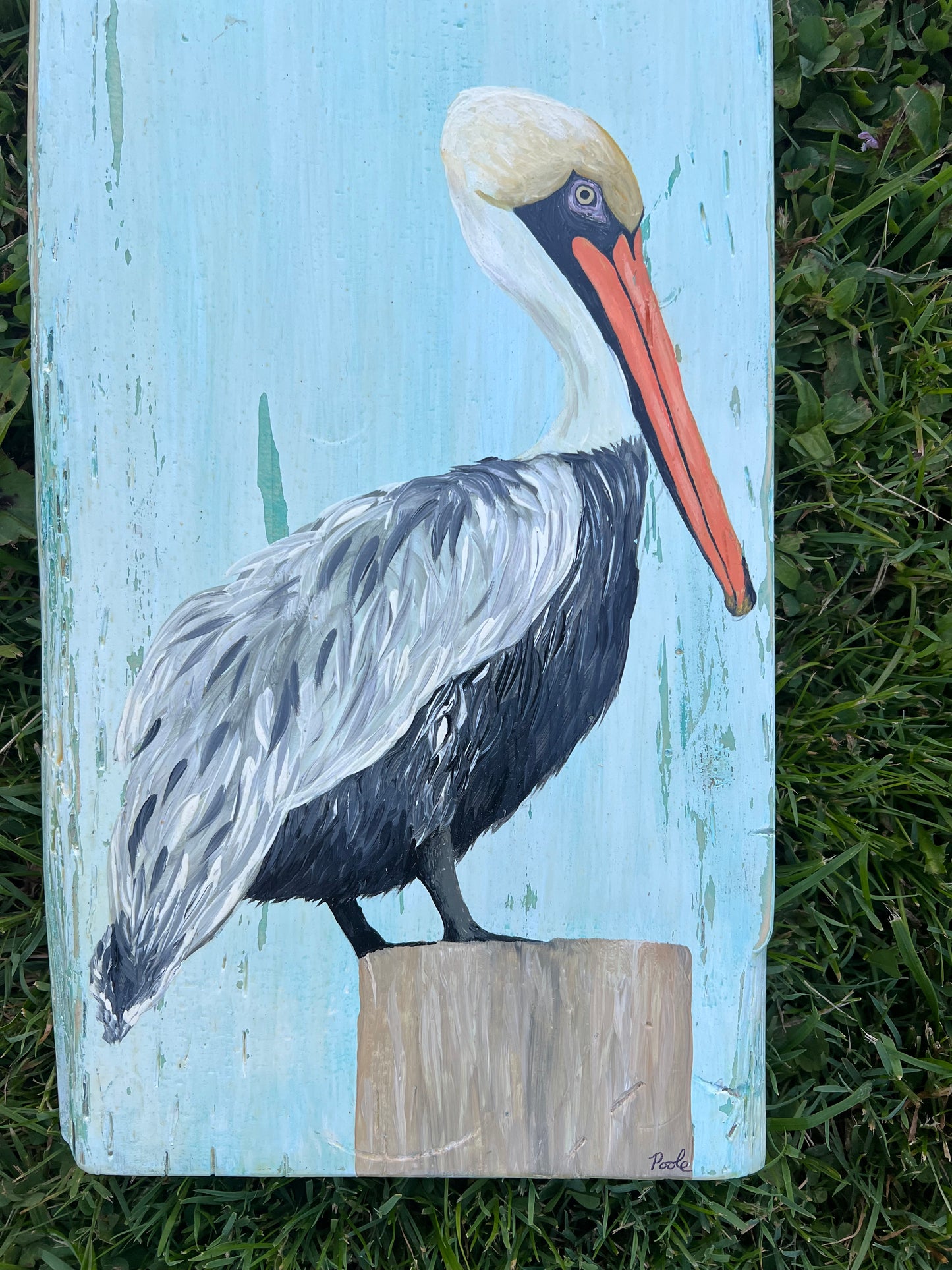 Hand Painted Pelican on Distressed Pine Plank