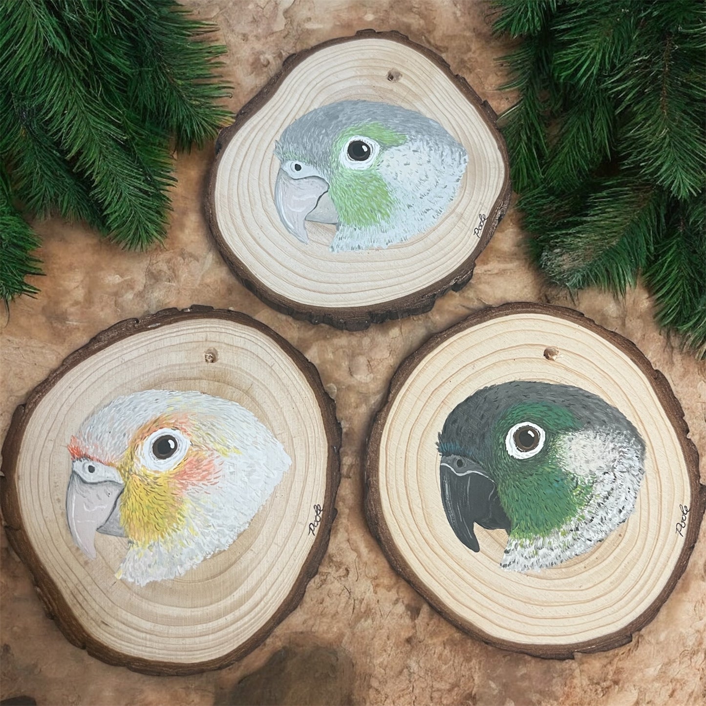 Hand Painted Green Cheek Conure Wood Slice Ornament