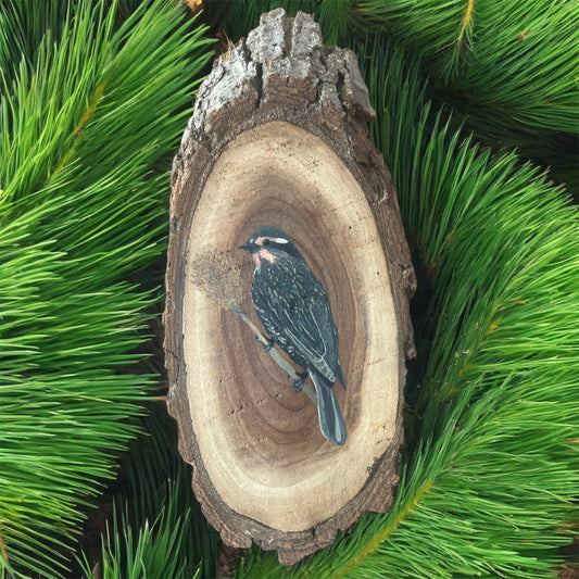 Live Edge House Finch