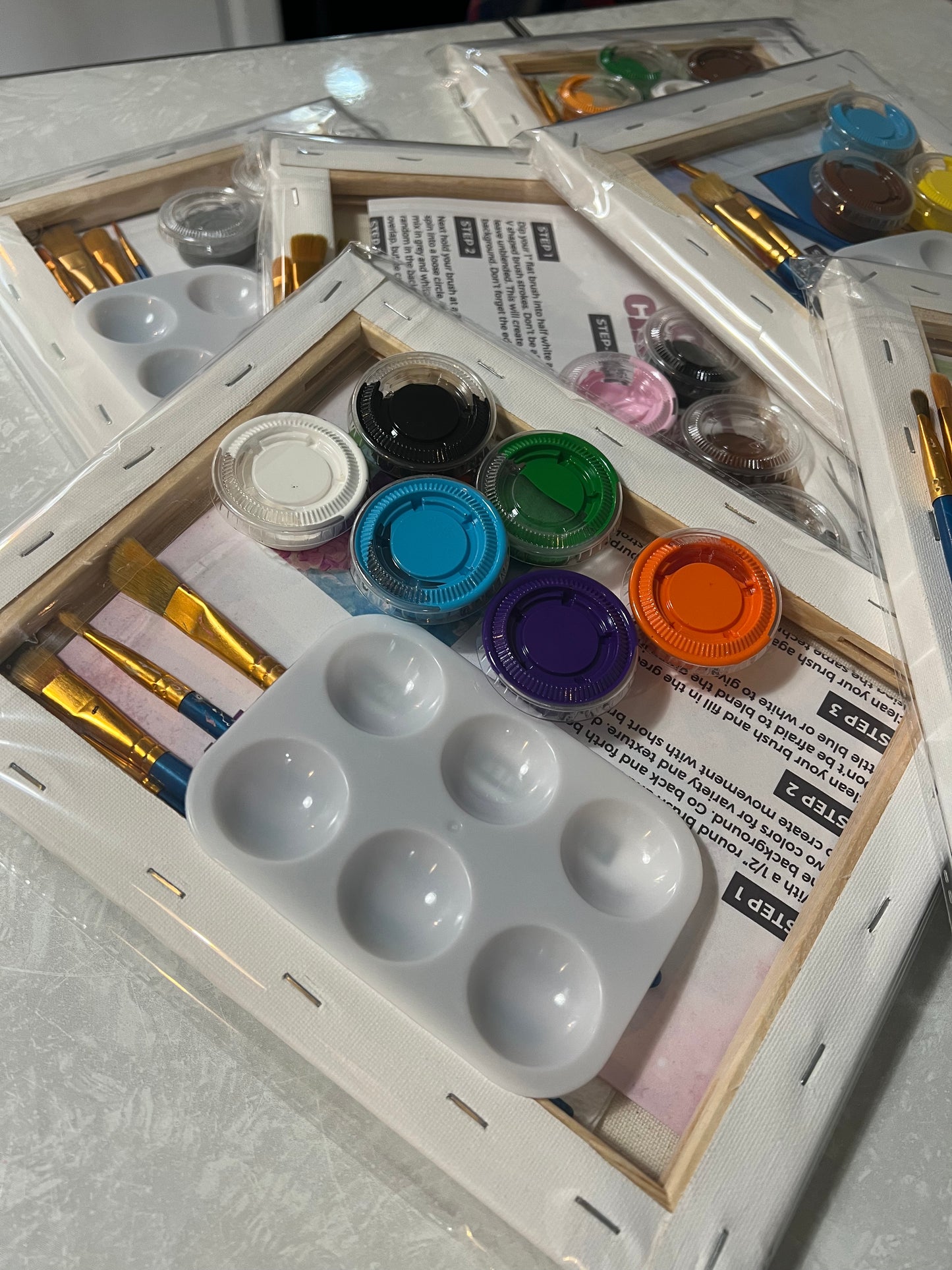 Blind Brush TM Canvas Kit