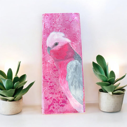 Hand Painted Galah on Distressed Pine Plank